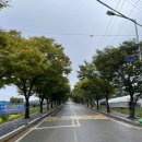 낭주농협도포주유소 이미지