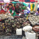 자갈치시장 이미지