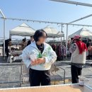 제주윤채 이미지