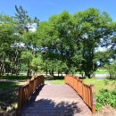 솔밭개울 이미지