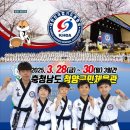 태권도 효성체육관 이미지