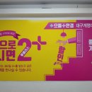 서대석안경콘택트 | 성서 안경 콘택트렌즈 종류 다양하기로 유명한 으뜸플러스 계명대점에서 여행용 선글라스 고른 후기 입니다