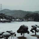 들녁의 하얀집 이미지