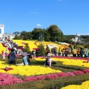 임실치즈테마파크3 이미지