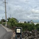 MIEUM | 돌 전 아기랑 제주 감성숙소 미음(MIEUM)