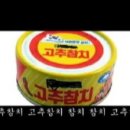 추참치 이미지