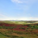 영암골프존 이미지