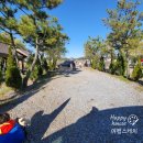 별자리펜션 | 단체 캠핑 가능한 곳 | 핼러윈 캠핑 대부도 펜션 시티 캠핑장