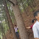 이정화농장 이미지