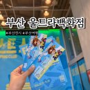 사단법인 부산와이더블유씨에이 | 부산 피아크 울트라백화점 텍스트 쇼핑 클럽 전시 후기