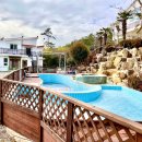 모니카애견 이미지