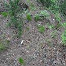 암산마을 이미지