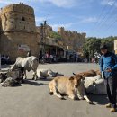 무역로-1 이미지