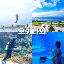 (유)낭만렌트카 | 오키나와 북부투어 추라우미 수족관 티켓 예매 돌고래쇼