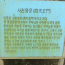 관음사의 왕벚나무자생지 | 월. 시계 반대방향으로 딸랑구와 함께 제주 한바퀴 돌아보기 여덟째 날; 관음사, 해월굴 사찰 돌아보기