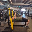 테리온 휘트니스 | 당산역 헬스장 PT 테리온휘트니스 당산점 운동 후기입니다.