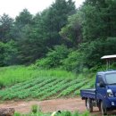 풍경펜션B 이미지