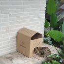 호텔야자오산역점 이미지