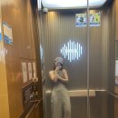 이미화 농장 | 아산캠핑장 캠프그라운드화온 3번째 방문 오크존 후기