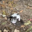 운남동물병원 이미지