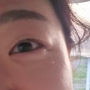 25 01월 대만 가오슝 여행