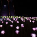 [울산대공원] 규모는 작지만 너무나 아름다운 불빛축제 ~ 울산대공원 불빛축제 이미지