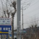 용댕이매운탕 이미지