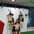 갈래초등학교 병설유치원 이미지
