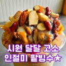 수원-0803 이미지