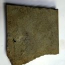 유성카중기 이미지