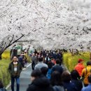 중랑천 제4체육공원 이미지