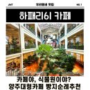 양주청소년문화의집 화장실 | 양주 대형카페 하패리 61, 빵지순례 드라이브 코스 추천