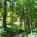 남해-305 이미지