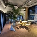 미앤마이독스 이미지