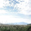 서천공원 이미지