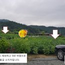 소나무공인중개사사무소 Daum카페
