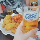 미용하는 퍼피마미 이미지