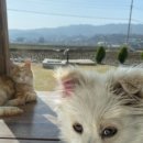 호서로 | 경북 예천 [죽림주간] @모과나무방 1박 후기 .. 大힐링..🌿