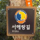 불광 둘레길 관광안내소 | 대부도 서해랑길 91코스 대부도관광안내소에서 바다낚시터 입구까지 3시간 55분 소요 완주