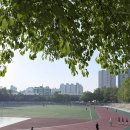 [러닝기록] 아디다스 보스턴 13 트랙 인터벌 10세트 후기