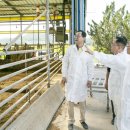 석교축산 이미지