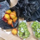 송천초교병설유치원 이미지