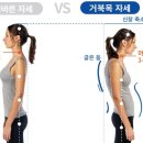경기도 수원시 영통구 도청로89번길 네이버블로그