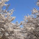 율하광장 반계공원 이미지