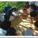 연꽃유치원 이미지