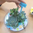 전주온샘유치원 | 환경교육과 업사클링전문교육기관/ 유치원/교육청/노인복지관/학교/교육연수/각종기관/업사이클링 원예...