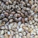 황해상회 이미지