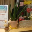 강서1통 이미지