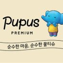 푸푸스
