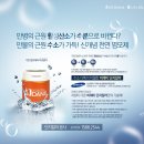 비채미